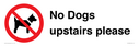 no-dogs-upstairs-please-~